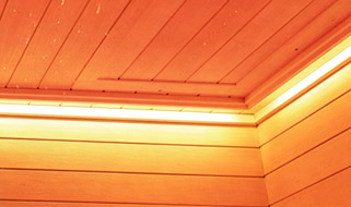   [OPT] Iluminaci&oacute;n ambiental b&aacute;sica 